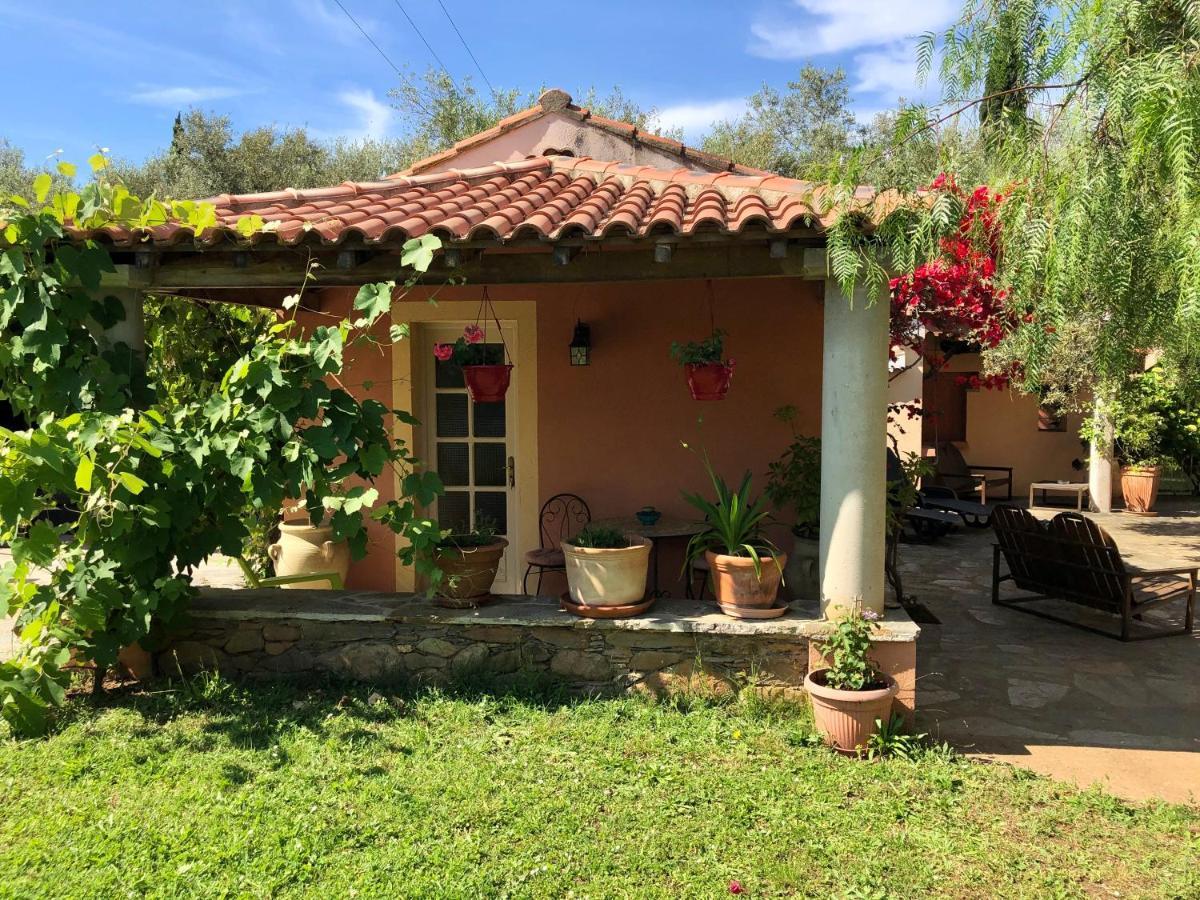 Domaine Le Clos Des Oliviers Sorbo-Ocagnano ภายนอก รูปภาพ
