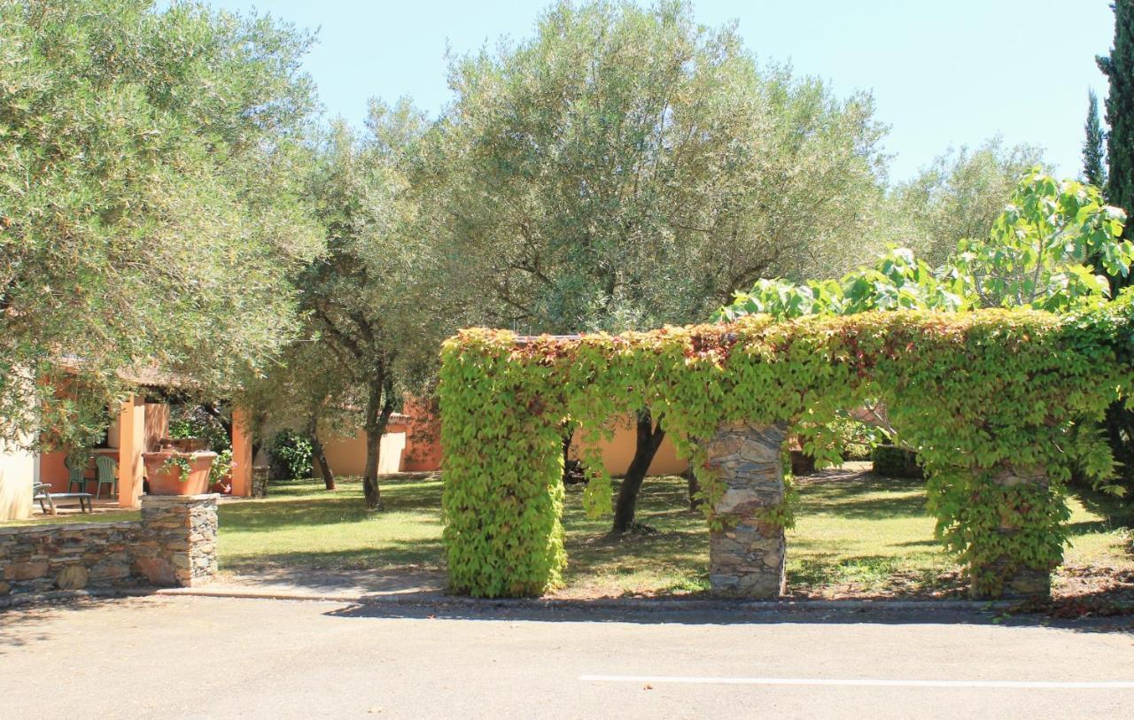 Domaine Le Clos Des Oliviers Sorbo-Ocagnano ภายนอก รูปภาพ
