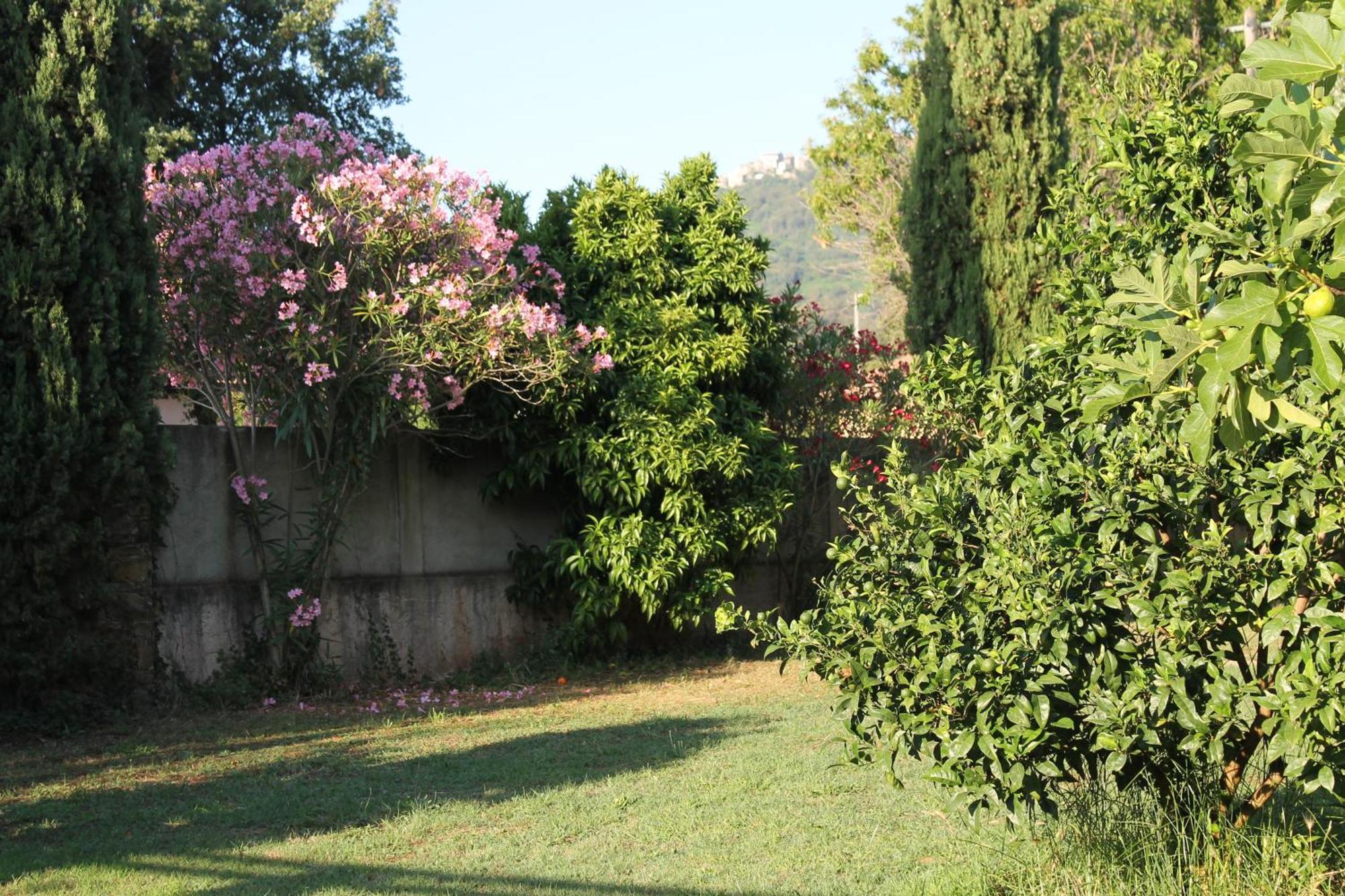 Domaine Le Clos Des Oliviers Sorbo-Ocagnano ห้อง รูปภาพ