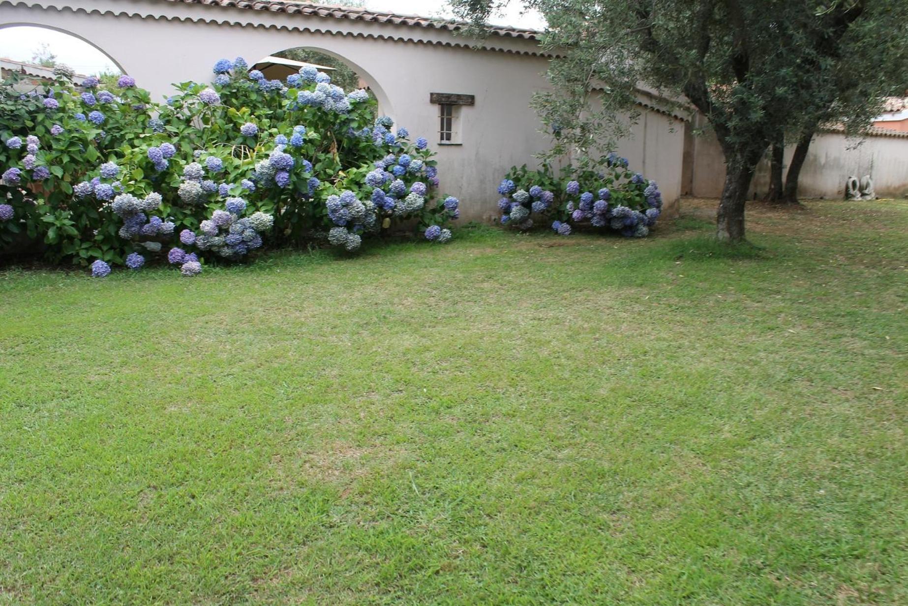 Domaine Le Clos Des Oliviers Sorbo-Ocagnano ภายนอก รูปภาพ