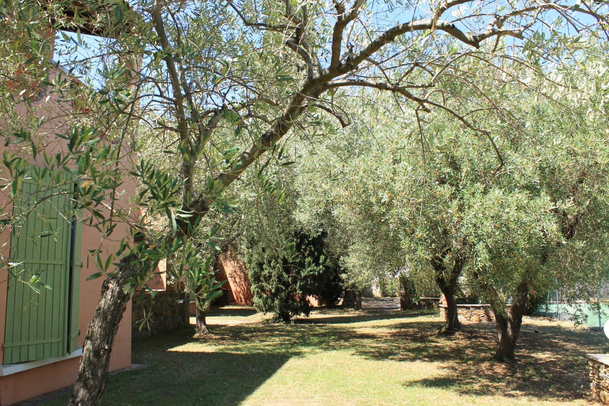 Domaine Le Clos Des Oliviers Sorbo-Ocagnano ภายนอก รูปภาพ