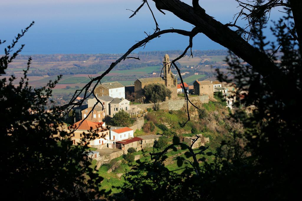 Domaine Le Clos Des Oliviers Sorbo-Ocagnano ภายนอก รูปภาพ