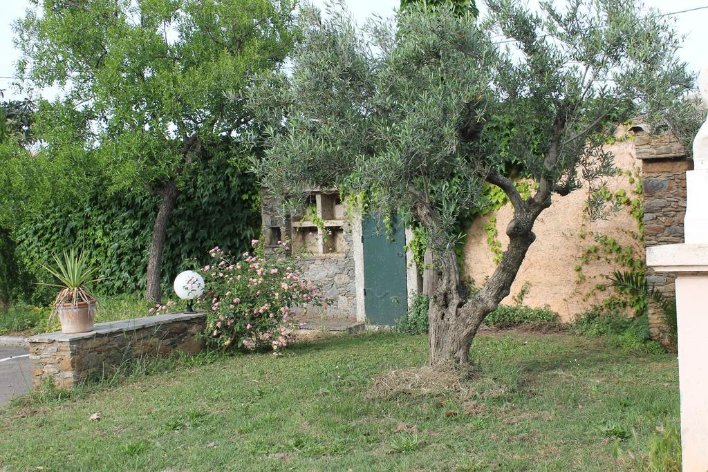 Domaine Le Clos Des Oliviers Sorbo-Ocagnano ภายนอก รูปภาพ