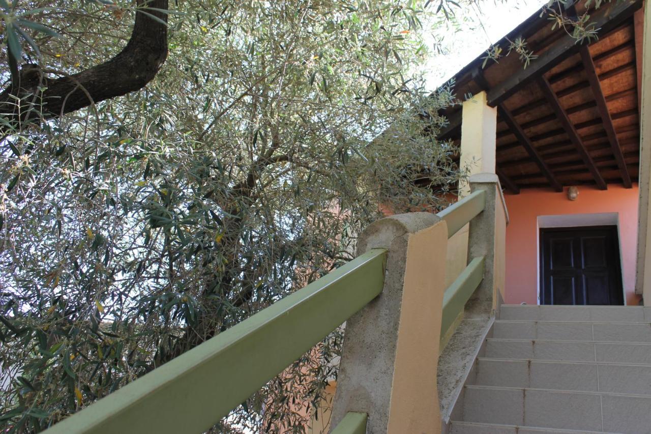 Domaine Le Clos Des Oliviers Sorbo-Ocagnano ภายนอก รูปภาพ
